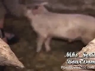 Dirty pig sex from a homemade animal porn video