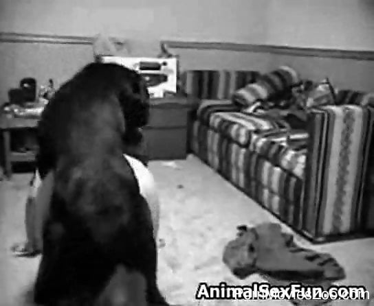 Sex with animal sex video in Patna