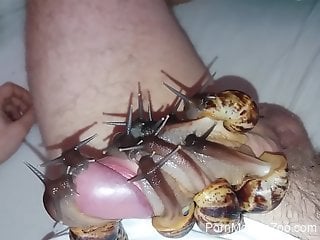 Kinky snail porn scenes in dirty solo by horny amateur man