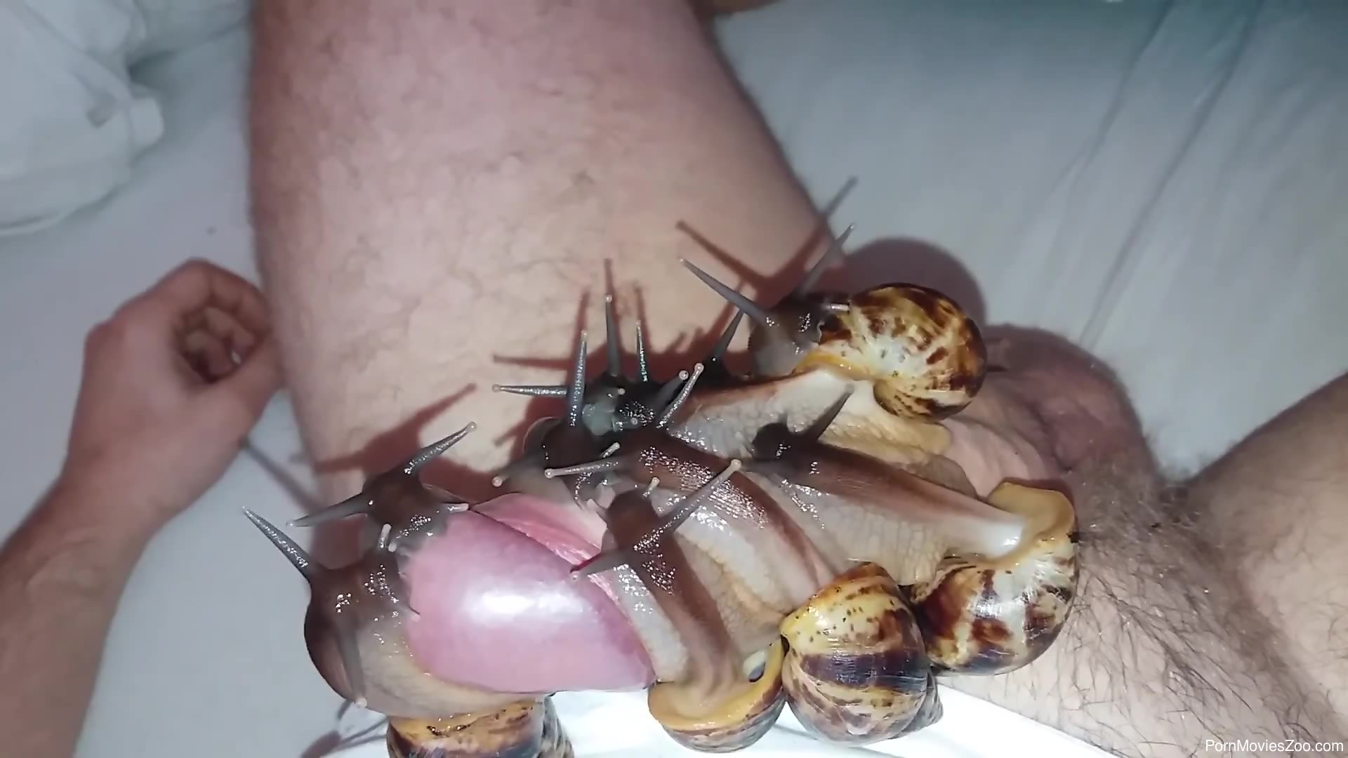 Hembram Fuck - Kinky snail porn scenes in dirty solo by horny amateur man