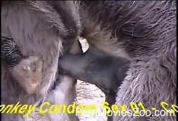 Animals fucking make this horny zoo lover to drool for cock