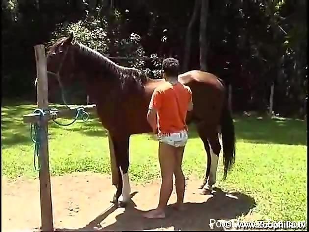 Naked gay man sucks horse's huge dick then tries anal sex