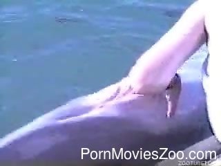 Dolphin Beastiality