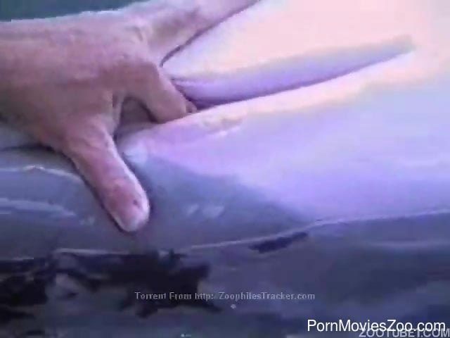 Dolphin leaves horny man to finger its vagina