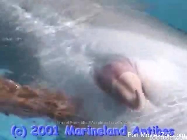 Whale Beastly Porn - Marine zoophilia with two horny lovers in need for porn