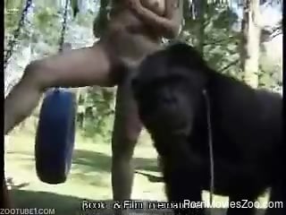 Chubby carnival girl tries to seduce a kinky ape