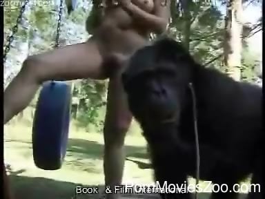 Manki Xxx V - Monkey fuck movie featuring a carnival cutie