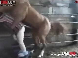 Horse cock violates an older guy's tight butthole