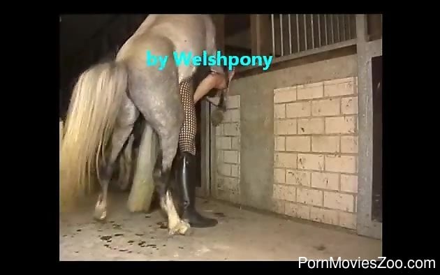 Horse fuck anal