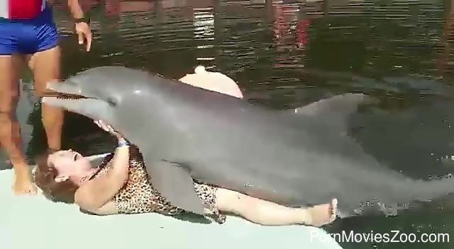 640px x 352px - Dolphin Porn