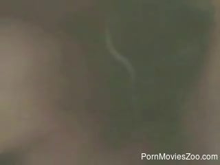 Hot vagina getting screwed by a sexy animal here