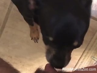 True oral sex with the dog makes horny woman lose her mind
