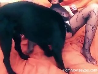 Bodysuit babe asks the dog to plug her fuckhole