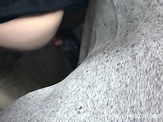 Brunette wants colossal horse cock in tight puss
