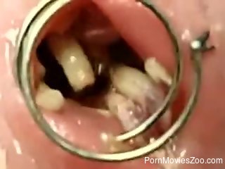 Horny man inserts worms in the penis during jerk off solo