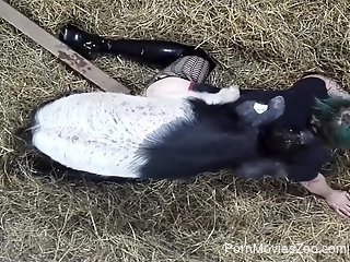 Aroused woman with fat ass tries farm animal cock on cam