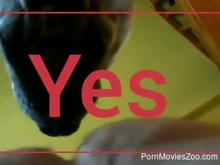Aroused man involves his dog in a dirty zoophilia play