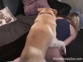 Dog fucks tight blonde in the pussy and comes on her ass
