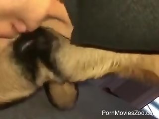 Aroused woman feels tasty dog dick in her shaved pussy