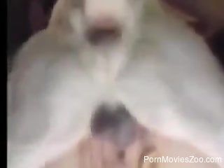 Tight woman filmed enjoying dog dick in her butt hole