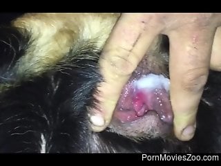 Man sticks whole penis in a furry dog dick for merciless sex
