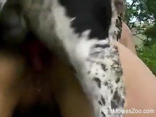 Aroused amateur throats the dog dick until sperm pops out