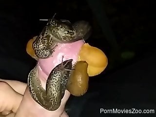 Naked man feels a bunch of snails stimulating his big dick