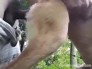 Man fulfills his sexual needs by hard ramming a dog