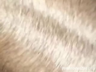 Dog ass fucks naked woman and comes inside her tight cunt