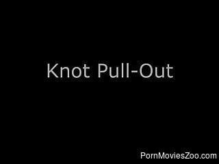 Dog fucks female and impregnates her wet vagina in amateur XXX