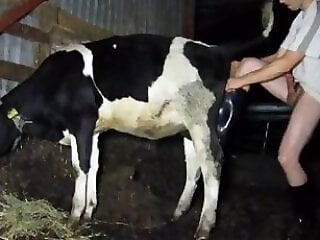Zoophilia porn and animal sex