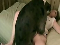 Dog Sex
