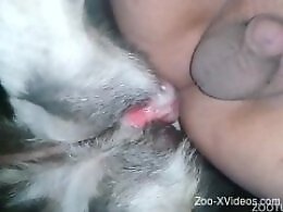 Animal porn and zoo sex