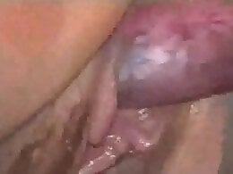 ZooAnimalPorn