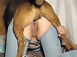 Zoophilia porn and animal sex