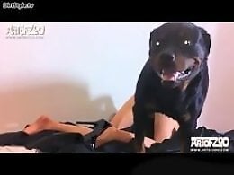 Zoo Fuck Tube