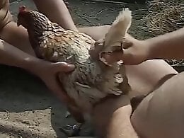 XXX bestiality zoo porn