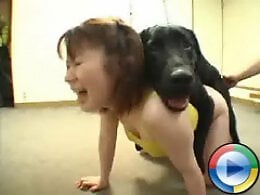 DogSex