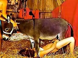 Zoo Phil