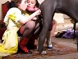 Animal porn videos and ZOO PORN