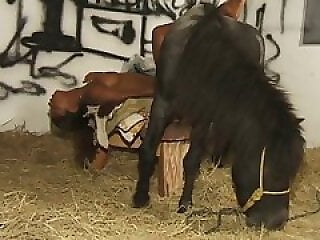 XXX Animal Porn