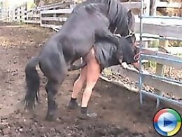 Zoo porno and bestiality
