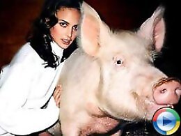 Free bestiality and zoophilia porn
