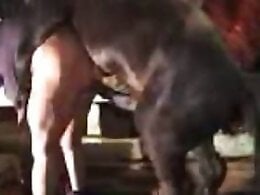 Animal porn and bestiality