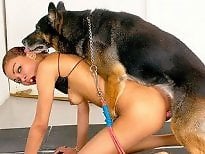 Dog Sex