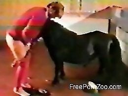 Zoophilia porn and animal sex