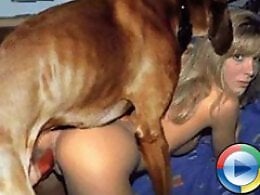 Animal Sex