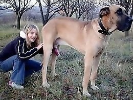 XXX bestiality zoo porn