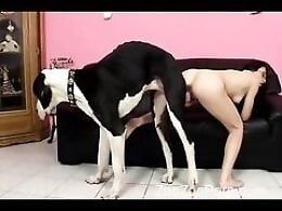 Animal porn and bestiality