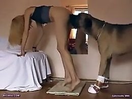 Zoo porn and zoo sex video